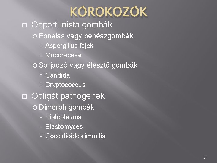  KÓROKOZÓK Opportunista gombák Fonalas vagy penészgombák Aspergillus fajok Mucoraceae Sarjadzó vagy élesztő gombák