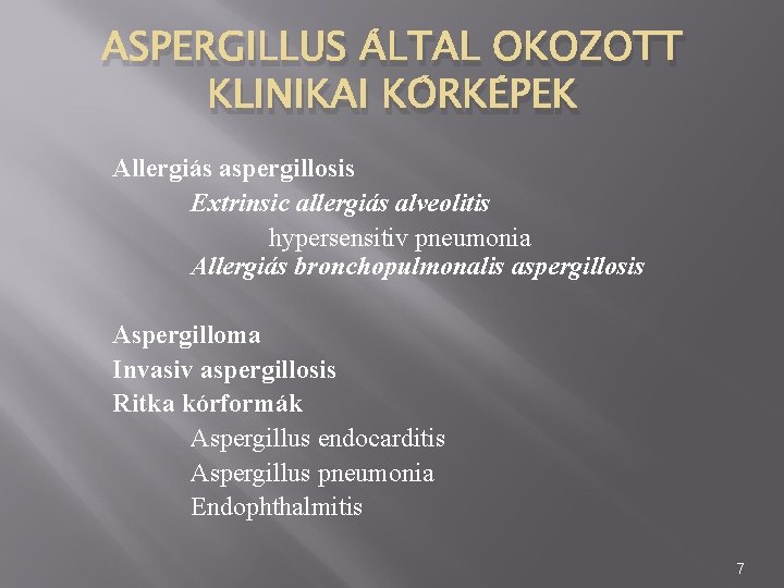 ASPERGILLUS ÁLTAL OKOZOTT KLINIKAI KÓRKÉPEK Allergiás aspergillosis Extrinsic allergiás alveolitis hypersensitiv pneumonia Allergiás bronchopulmonalis