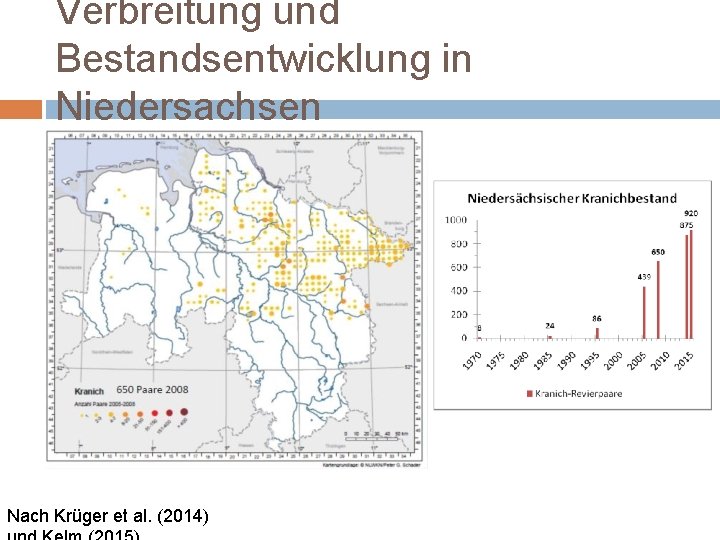 Verbreitung und Bestandsentwicklung in Niedersachsen Nach Krüger et al. (2014) 