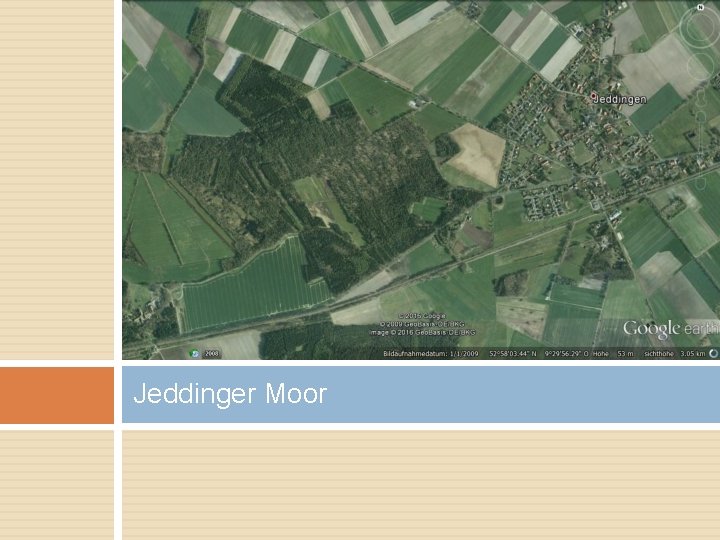 Jeddinger Moor 