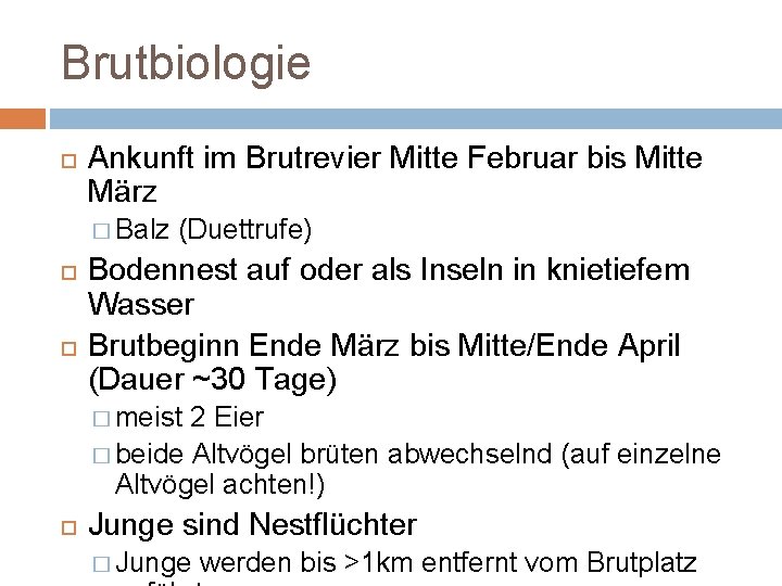 Brutbiologie Ankunft im Brutrevier Mitte Februar bis Mitte März � Balz (Duettrufe) Bodennest auf