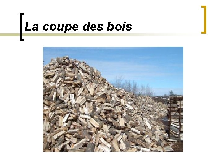 La coupe des bois 