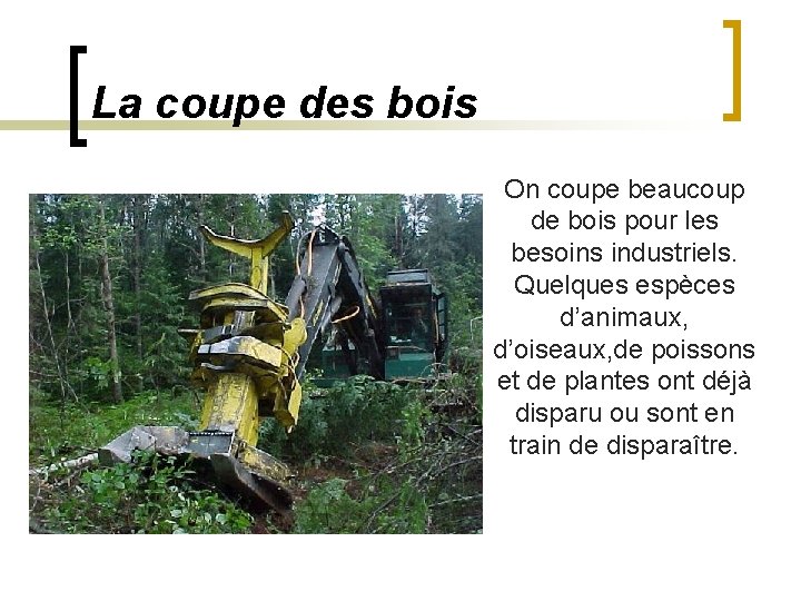 La coupe des bois On coupe beaucoup de bois pour les besoins industriels. Quelques