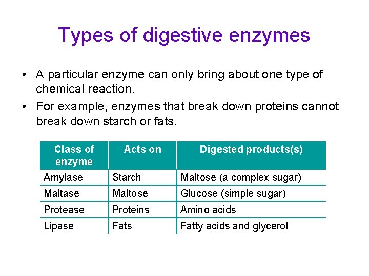 Types of digestive enzymes • A particular enzyme can only bring about one type