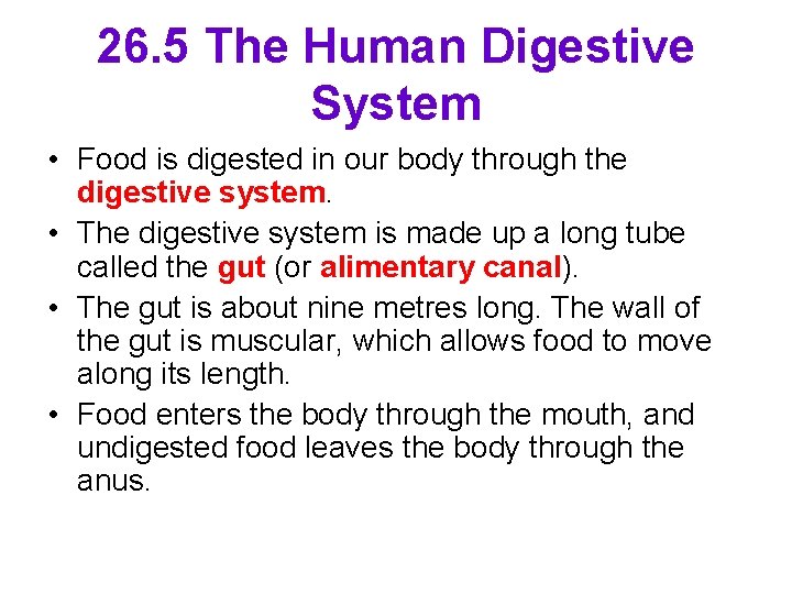 26. 5 The Human Digestive System • Food is digested in our body through