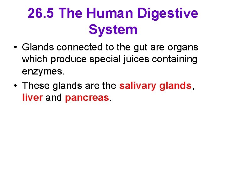 26. 5 The Human Digestive System • Glands connected to the gut are organs