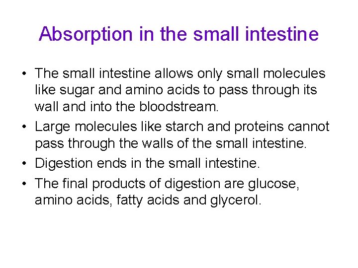 Absorption in the small intestine • The small intestine allows only small molecules like