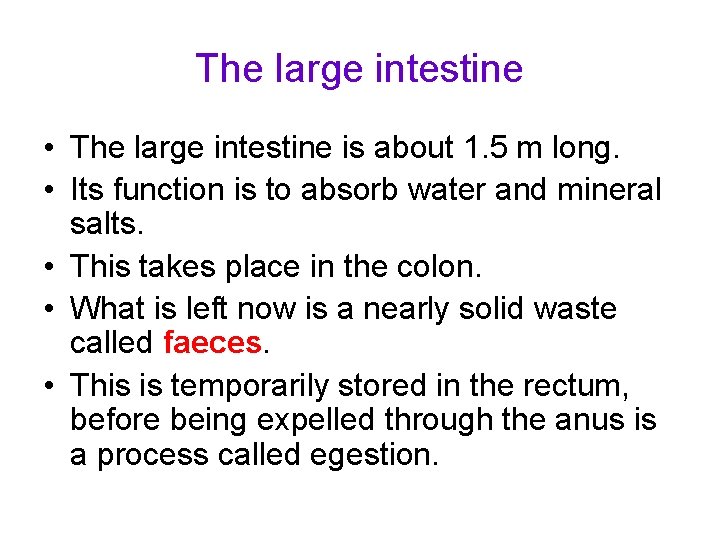 The large intestine • The large intestine is about 1. 5 m long. •