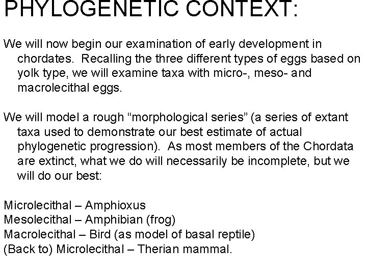 PHYLOGENETIC CONTEXT: We will now begin our examination of early development in chordates. Recalling