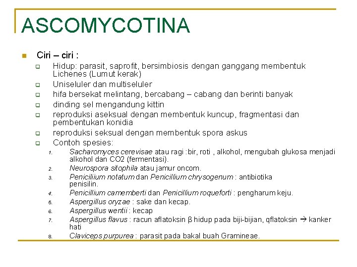 ASCOMYCOTINA n Ciri – ciri : Hidup: parasit, saprofit, bersimbiosis dengan gang membentuk Lichenes