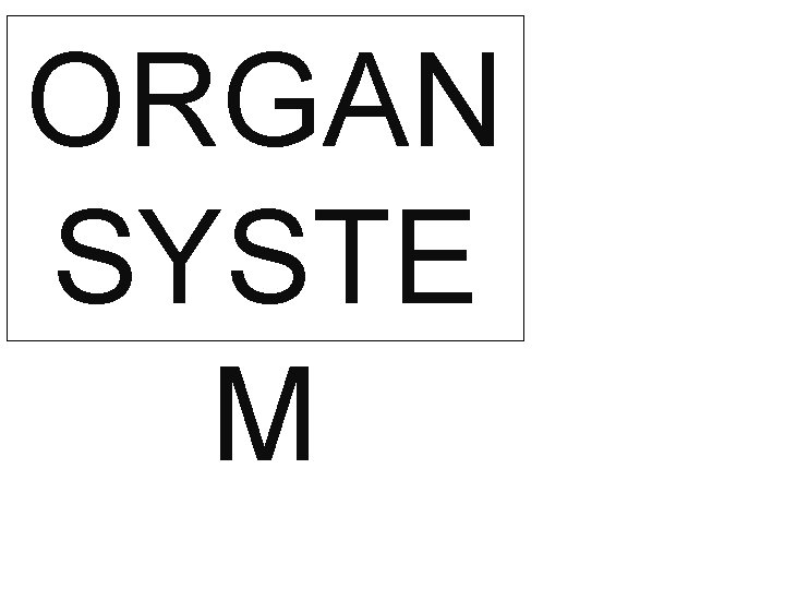 ORGAN SYSTE M 