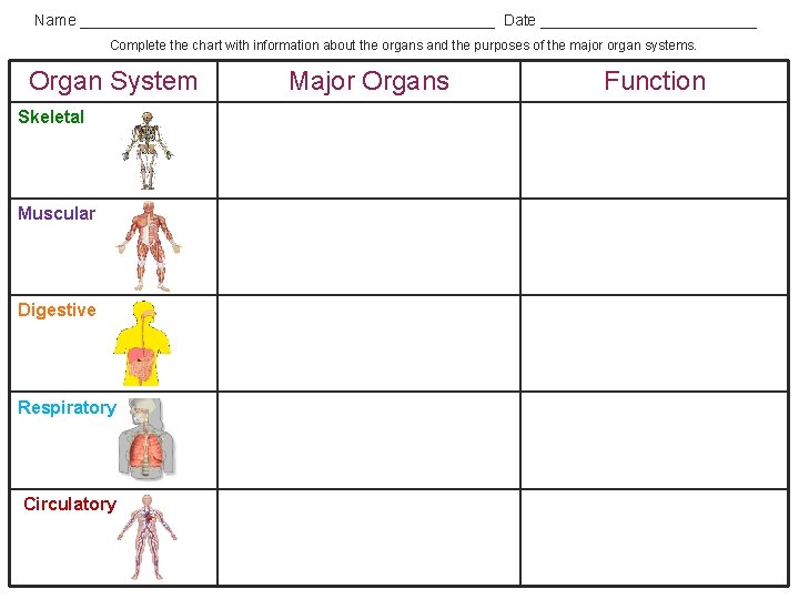 Name ________________________ Date _____________ Complete the chart with information about the organs and the