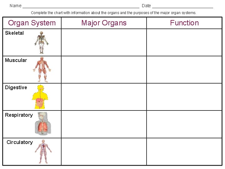 Name ________________________ Date _____________ Complete the chart with information about the organs and the