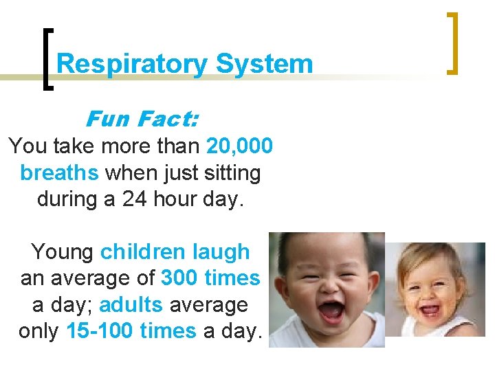 Respiratory System Fun Fact: You take more than 20, 000 breaths when just sitting