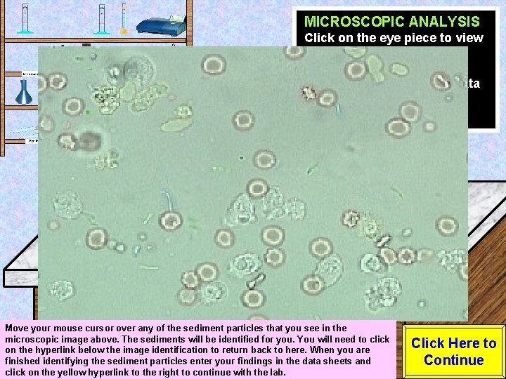 MICROSCOPIC ANALYSIS Click on the eye piece to view the sample at High power.