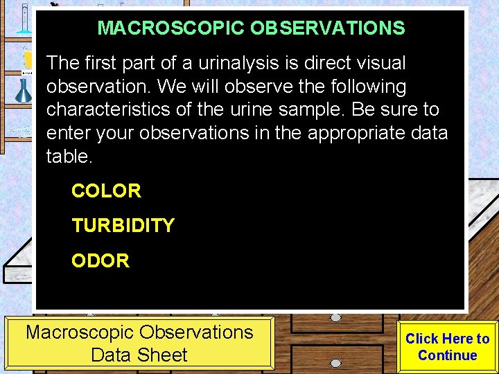 MACROSCOPIC OBSERVATIONS Urine Sample The first part of a urinalysis is direct visual observation.