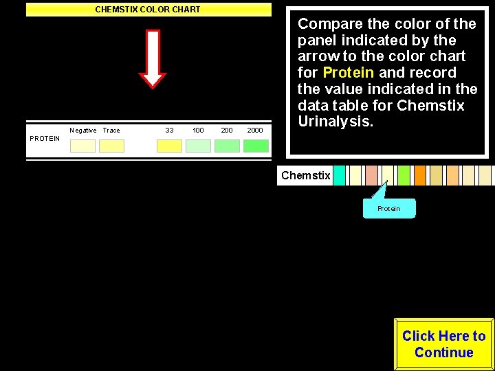 CHEMSTIX COLOR CHART Negative Trace Small Moderate Large LEUKOCYTES Negative -----Positive---- NITRITE (Any degree