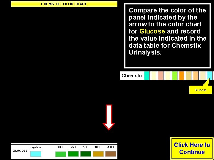 CHEMSTIX COLOR CHART Negative Trace Small Moderate Large LEUKOCYTES Negative -----Positive---- NITRITE (Any degree
