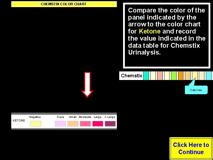 CHEMSTIX COLOR CHART Negative Trace Small Moderate Large LEUKOCYTES Negative -----Positive---- NITRITE (Any degree