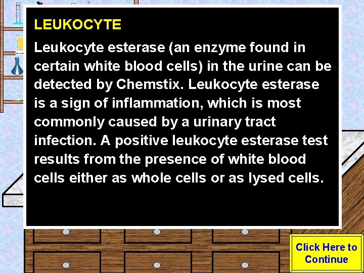 LEUKOCYTE Urine Sample Leukocyte esterase (an enzyme found in certain white blood cells) in