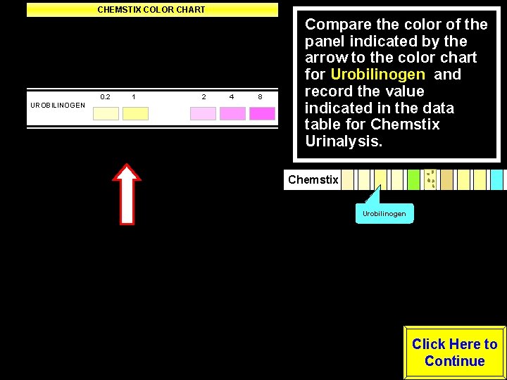 CHEMSTIX COLOR CHART Negative Trace Small Moderate Large LEUKOCYTES Negative -----Positive---- NITRITE (Any degree