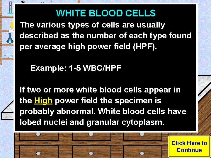 WHITE BLOOD CELLS Urine Sample The various types of cells are usually described as