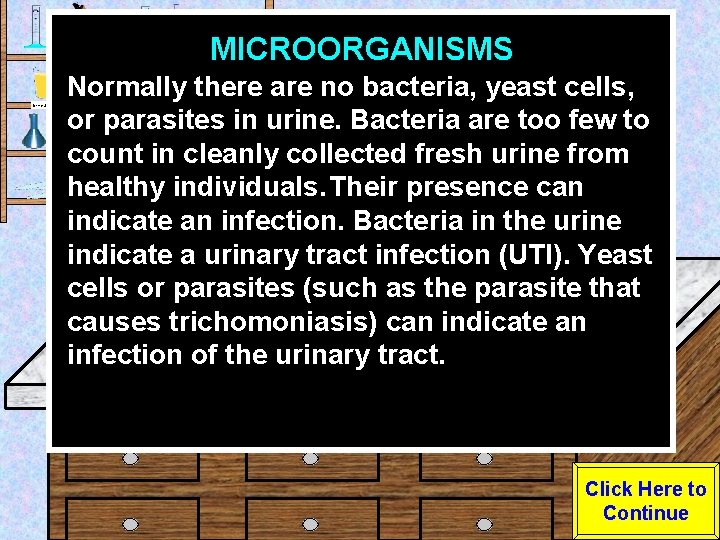 MICROORGANISMS Urine Sample Normally there are no bacteria, yeast cells, or parasites in urine.