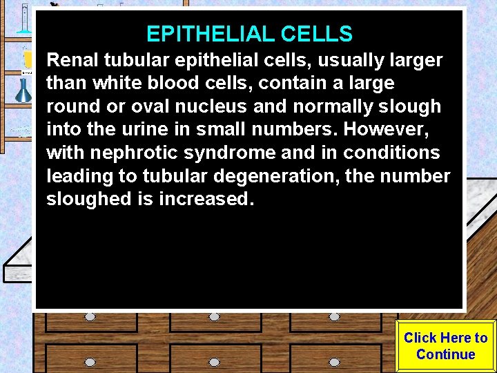 EPITHELIAL CELLS Urine Sample Renal tubular epithelial cells, usually larger than white blood cells,