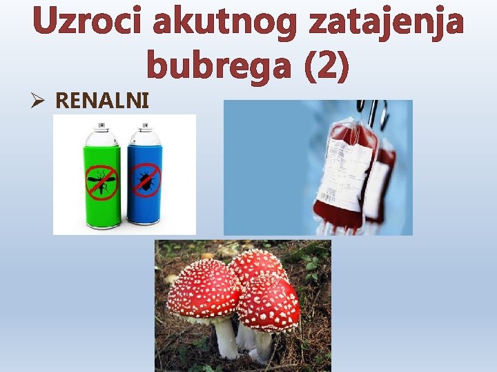 Uzroci akutnog zatajenja bubrega (2) Ø RENALNI 