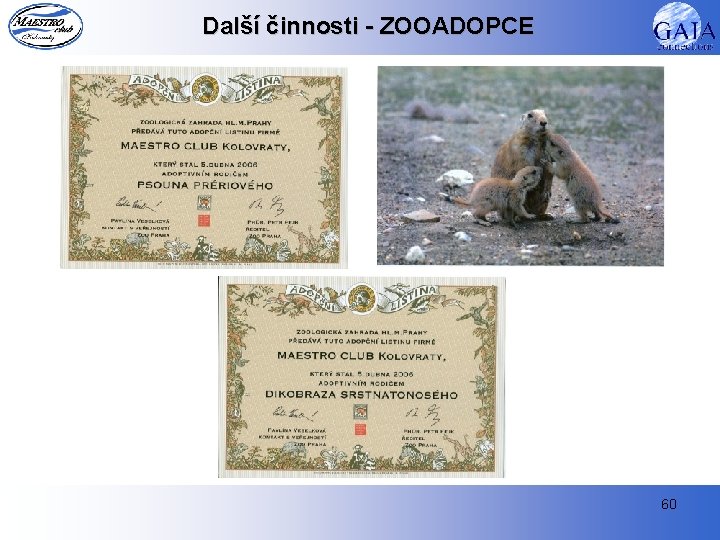 Další činnosti - ZOOADOPCE 60 