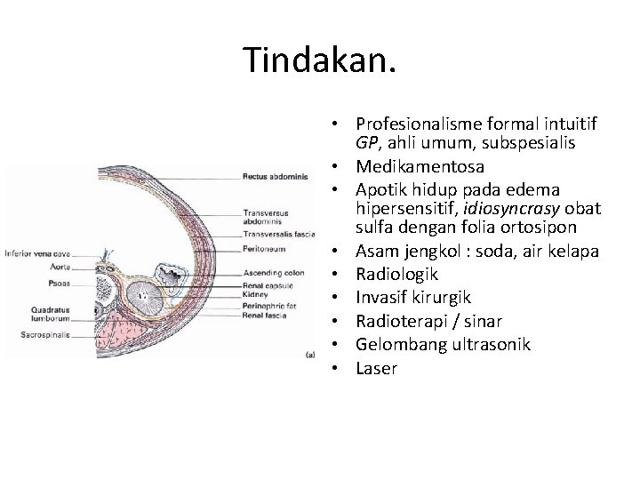 Tindakan. • Profesionalisme formal intuitif GP, ahli umum, subspesialis • Medikamentosa • Apotik hidup