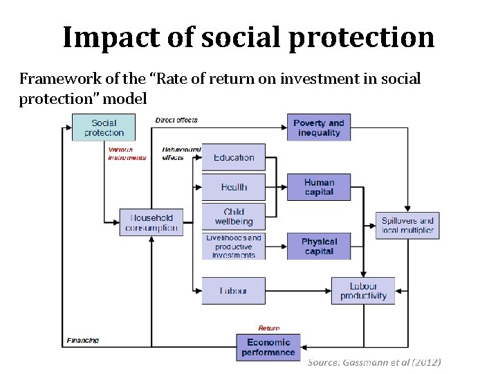 Impact of social protection Framework of the “Rate of return on investment in social