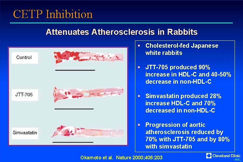 CETP Inhibition Attenuates Atherosclerosis in Rabbits § Cholesterol-fed Japanese white rabbits § JTT-705 produced