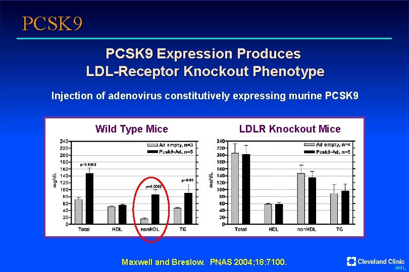 PCSK 9 Expression Produces LDL-Receptor Knockout Phenotype Injection of adenovirus constitutively expressing murine PCSK