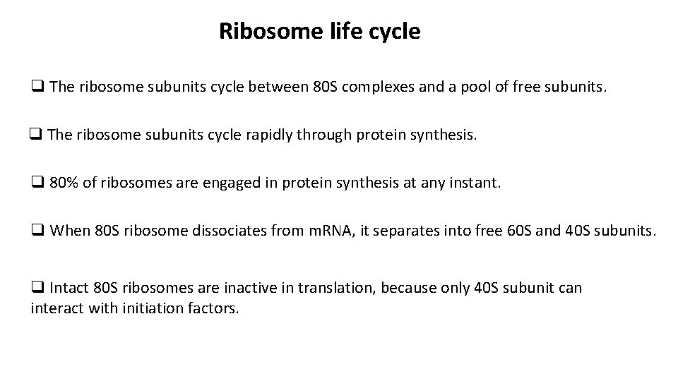 Ribosome life cycle q The ribosome subunits cycle between 80 S complexes and a