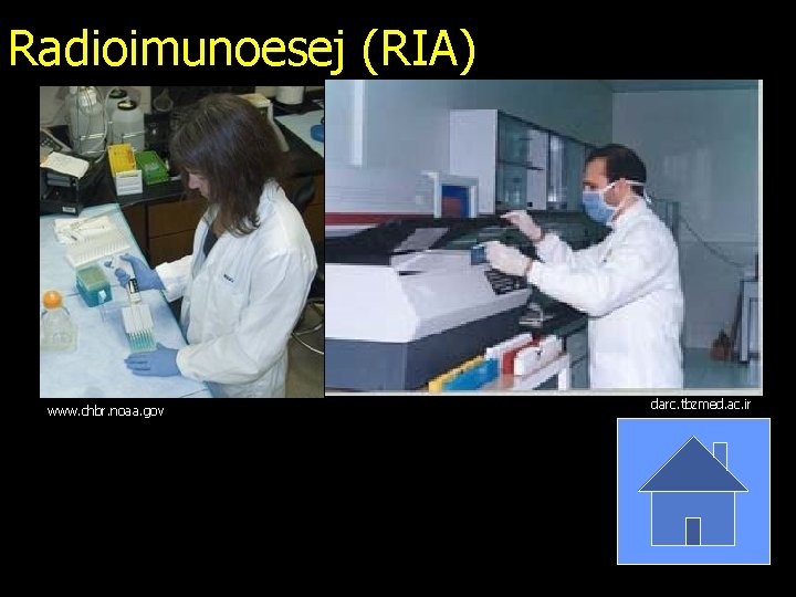 Radioimunoesej (RIA) www. chbr. noaa. gov darc. tbzmed. ac. ir 