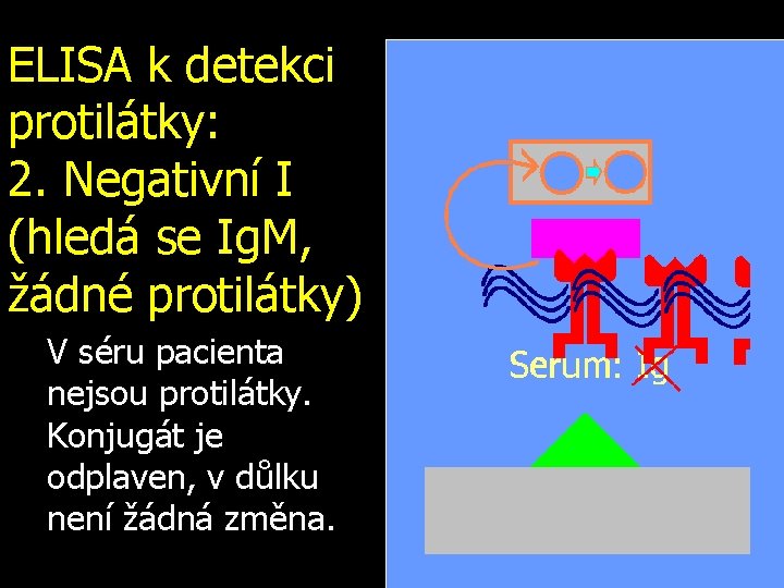 ELISA k detekci protilátky: 2. Negativní I (hledá se Ig. M, žádné protilátky) V