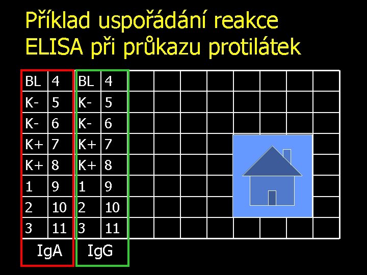 Příklad uspořádání reakce ELISA při průkazu protilátek BL KKK+ K+ 1 2 3 4