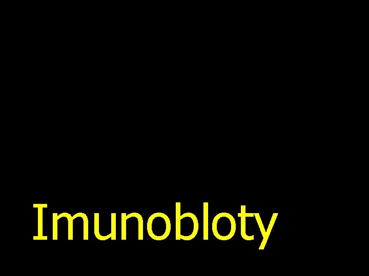 Imunobloty 
