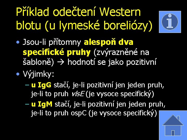 Příklad odečtení Western blotu (u lymeské boreliózy) • Jsou-li přítomny alespoň dva specifické pruhy