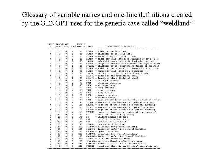 Glossary of variable names and one-line definitions created by the GENOPT user for the