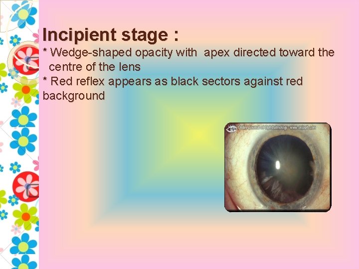 Incipient stage : * Wedge-shaped opacity with apex directed toward the centre of the