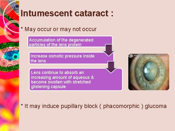 Intumescent cataract : * May occur or may not occur Accumulation of the degenerated