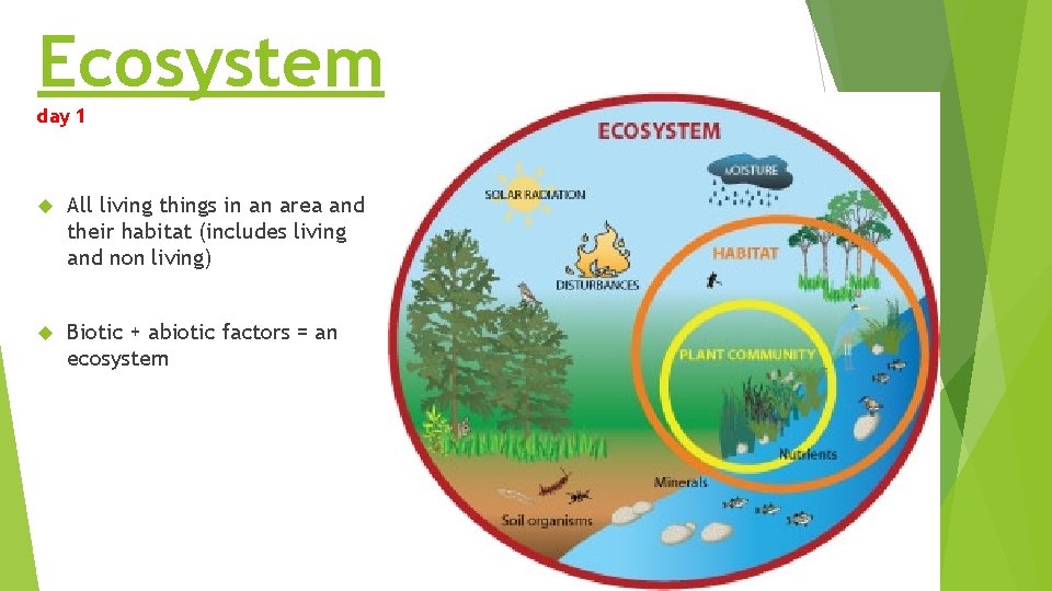 Ecosystem day 1 All living things in an area and their habitat (includes living Ecosystem day 1 All living things in an area and their habitat (includes living
