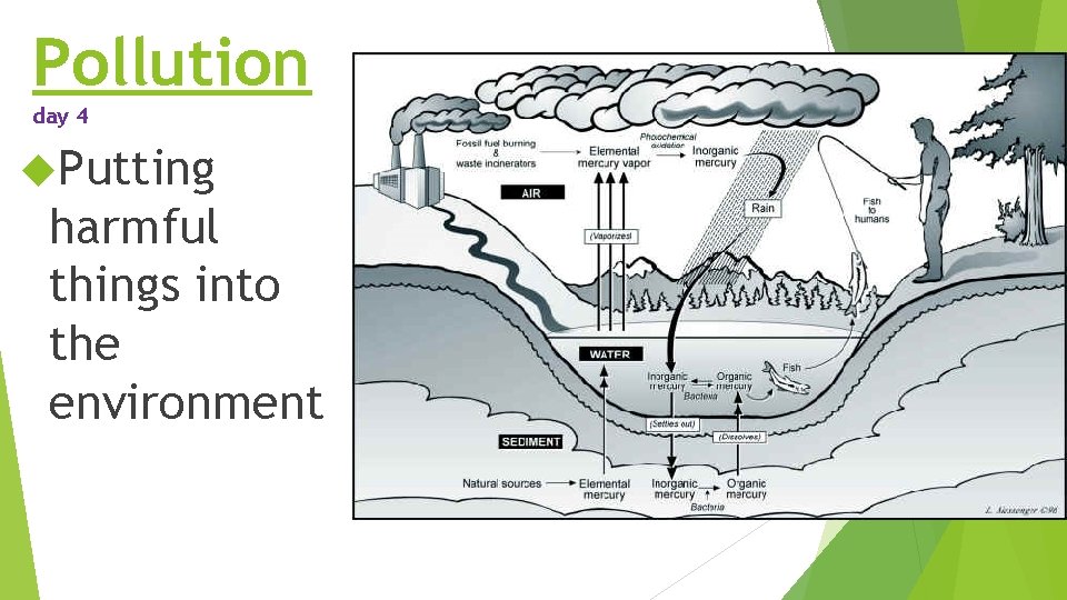 Pollution day 4 Putting harmful things into the environment Pollution day 4 Putting harmful things into the environment