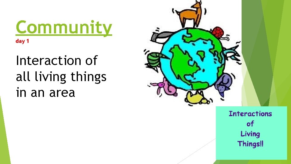 Community day 1 Interaction of all living things in an area Community day 1 Interaction of all living things in an area