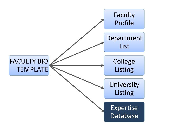 Faculty Profile Department List FACULTY BIO TEMPLATE College Listing University Listing Expertise Database 