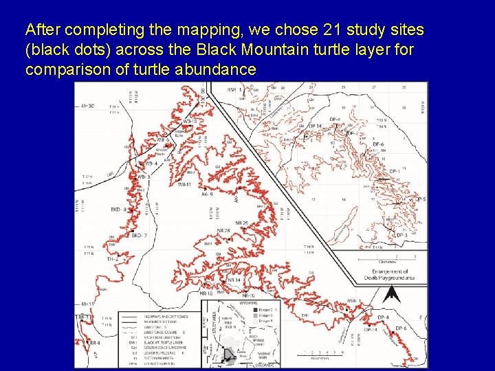 After completing the mapping, we chose 21 study sites (black dots) across the Black