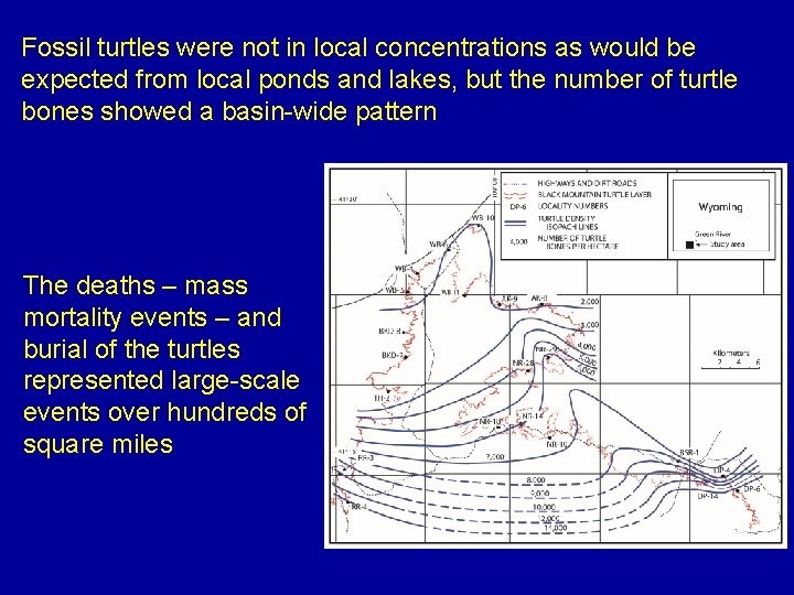Fossil turtles were not in local concentrations as would be expected from local ponds