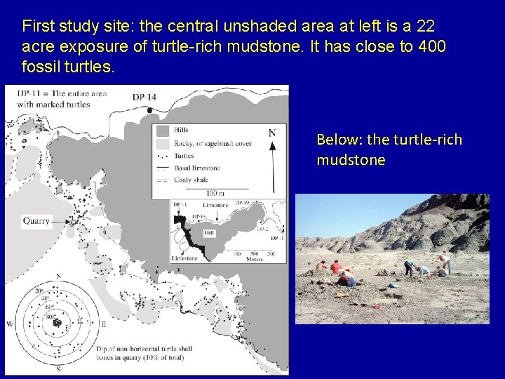 First study site: the central unshaded area at left is a 22 acre exposure